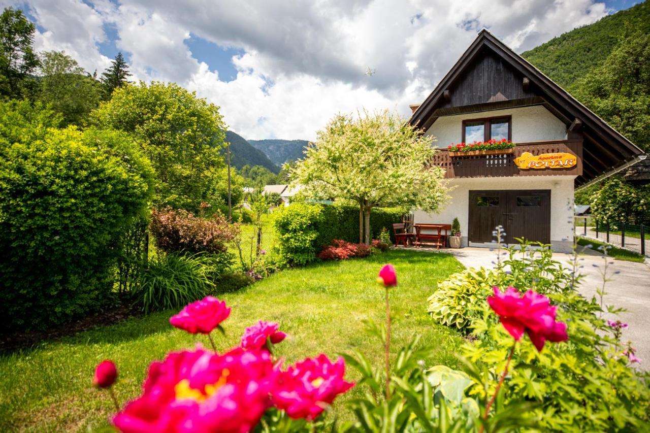 Apartma Boltar Bohinj Buitenkant foto